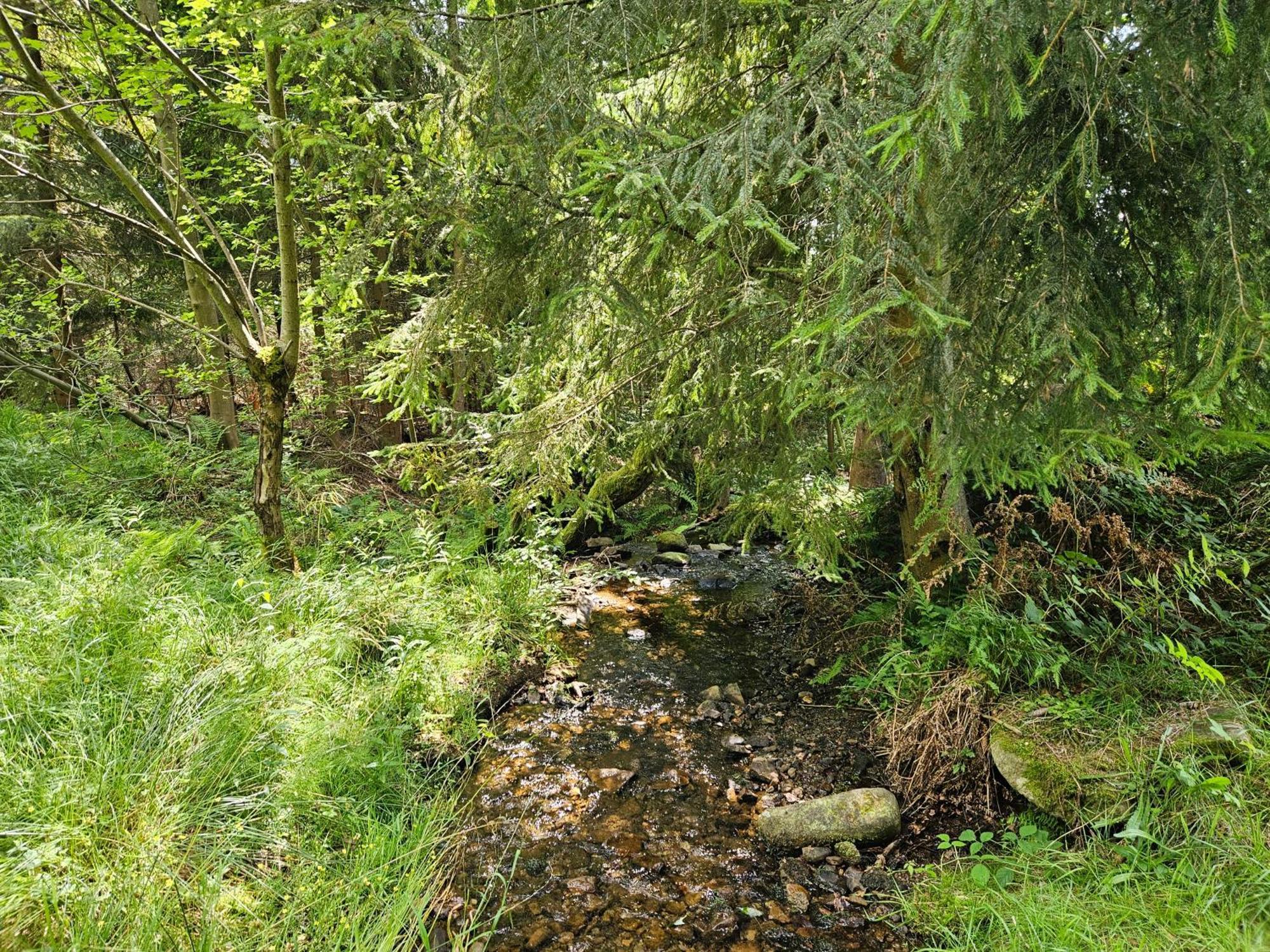 Kamesznica Chata Goralska Wojtasowka מראה חיצוני תמונה