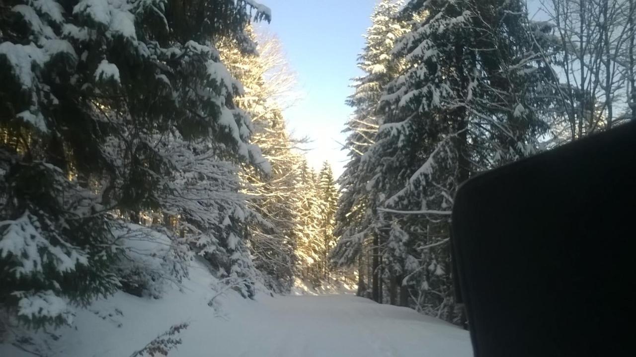Kamesznica Chata Goralska Wojtasowka מראה חיצוני תמונה